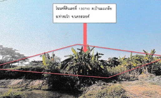 รูปที่ดินว่างเปล่า บ้านมะเกลือ เมืองนครสวรรค์ นครสวรรค์