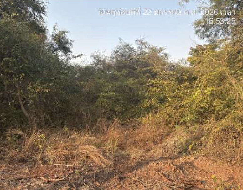 รูปที่ดินว่างเปล่า หนองหญ้าไซ หนองหญ้าไซ สุพรรณบุรี