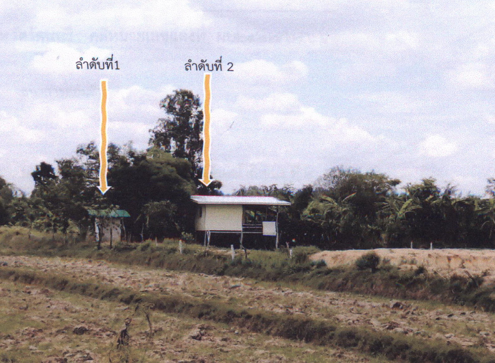 รูปที่ดินพร้อมสิ่งปลูกสร้าง หนองเมธี ท่าตูม สุรินทร์