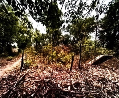 รูปที่ดินว่างเปล่า น้ำก่ำ ธาตุพนม นครพนม