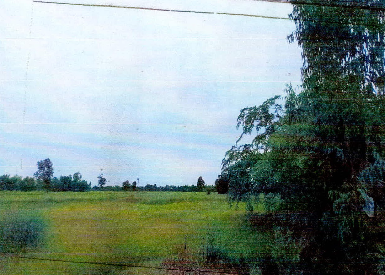 รูปที่ดินว่างเปล่า เขวาสินรินทร์ เขวาสินรินทร์ สุรินทร์