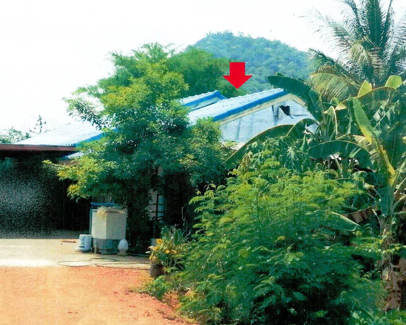 รูปที่ดินพร้อมสิ่งปลูกสร้าง แสลงพัน วังม่วง สระบุรี