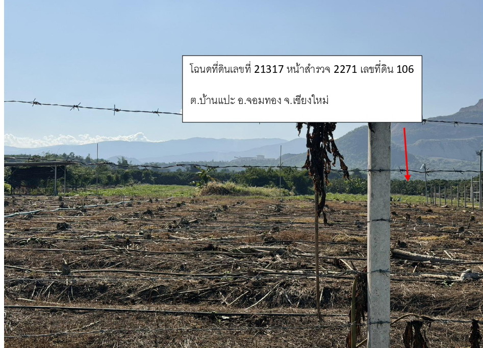 รูปที่ดินว่างเปล่า บ้านแปะ จอมทอง เชียงใหม่