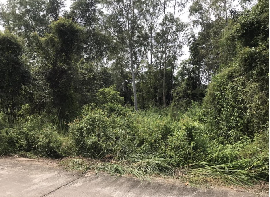รูปที่ดินว่างเปล่า หนองไผ่แบน เมืองอุทัยธานี อุทัยธานี
