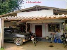 รูปที่ดินพร้อมสิ่งปลูกสร้าง ป่าซาง ดอกคำใต้ พะเยา