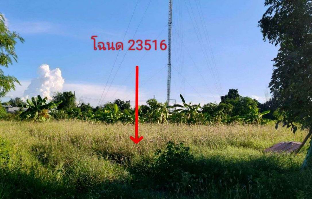 รูปที่ดินว่างเปล่า หนองสรวง ขามทะเลสอ นครราชสีมา