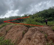รูปที่ดินว่างเปล่า ยางงาม หนองไผ่ เพชรบูรณ์
