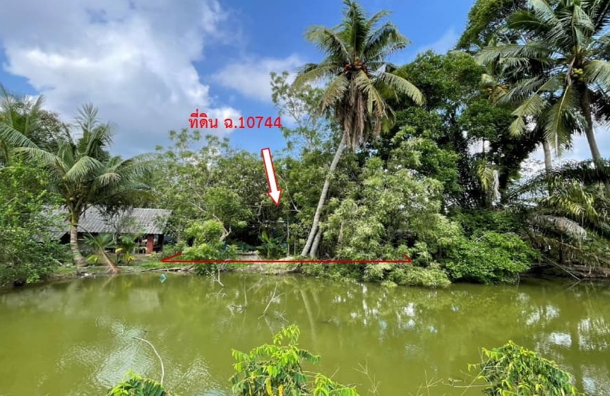 รูปที่ดินว่างเปล่า ช่องไม้แก้ว ทุ่งตะโก ชุมพร