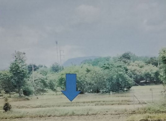 รูปที่ดินว่างเปล่า บ้านบัว เกษตรสมบูรณ์ ชัยภูมิ