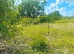 รูปที่ดินว่างเปล่า มะค่า โนนสูง นครราชสีมา