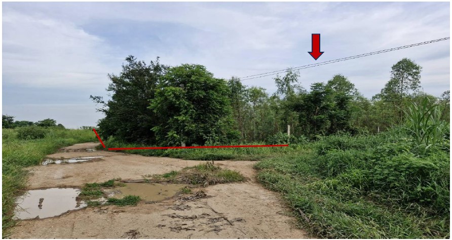 รูปที่ดินว่างเปล่า ทะนง โพทะเล พิจิตร