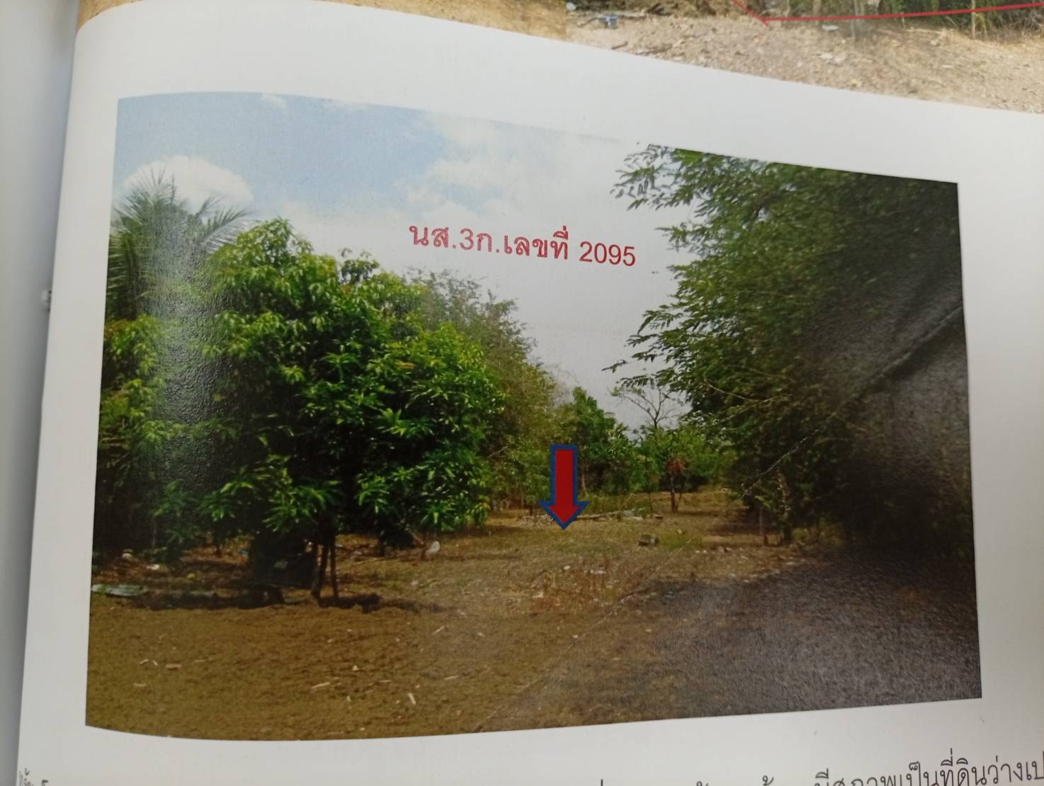รูปที่ดินว่างเปล่า พุขาม วิเชียรบุรี เพชรบูรณ์