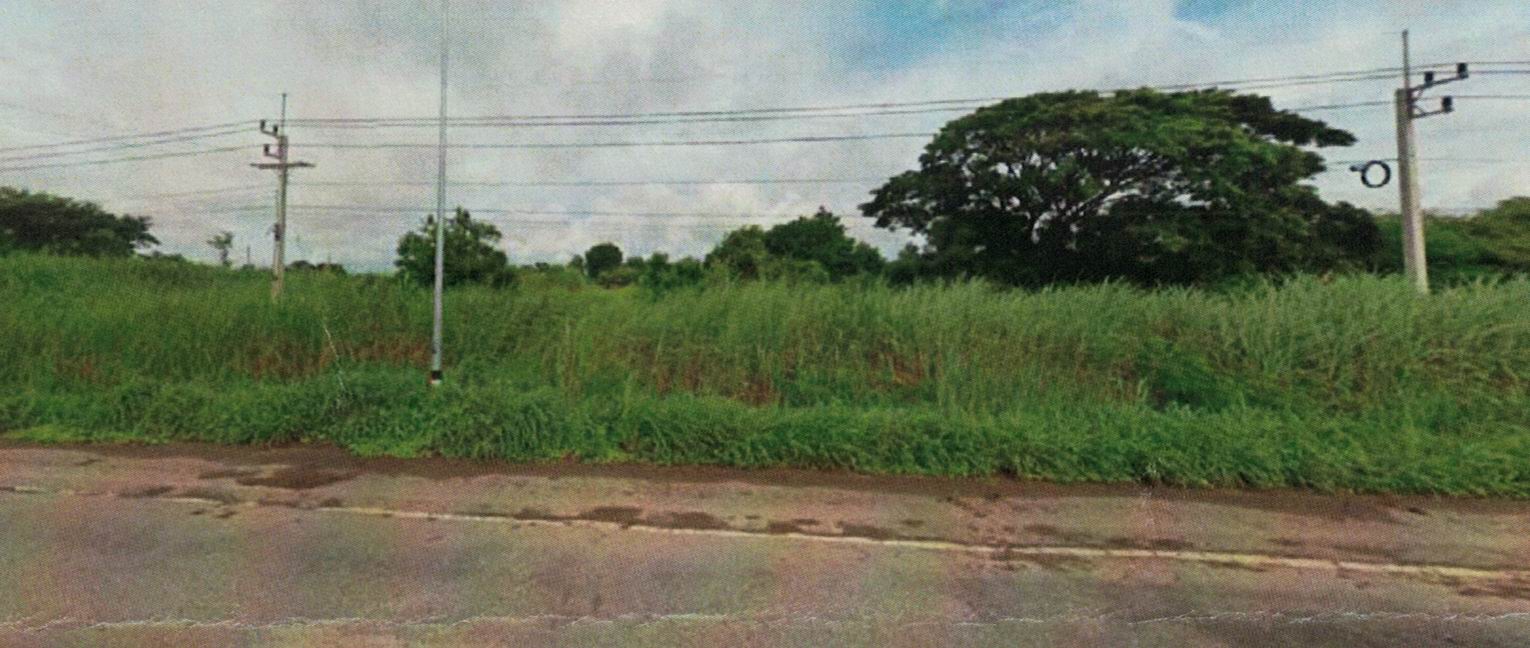 รูปที่ดินว่างเปล่า หอไกร บางมูลนาก พิจิตร