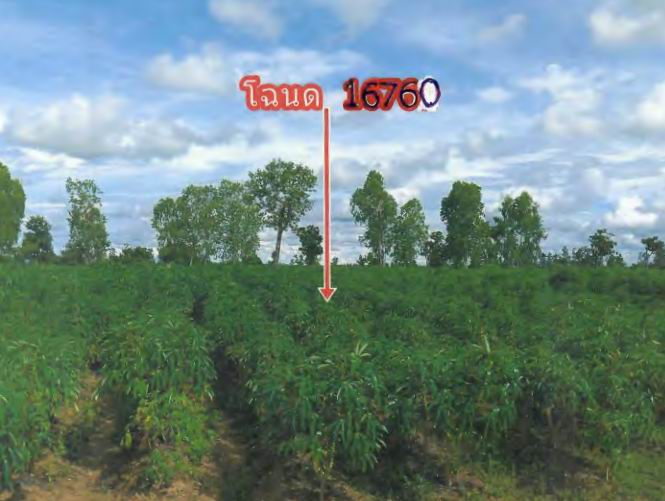 รูปที่ดินว่างเปล่า คำไหล ศรีเมืองใหม่ อุบลราชธานี