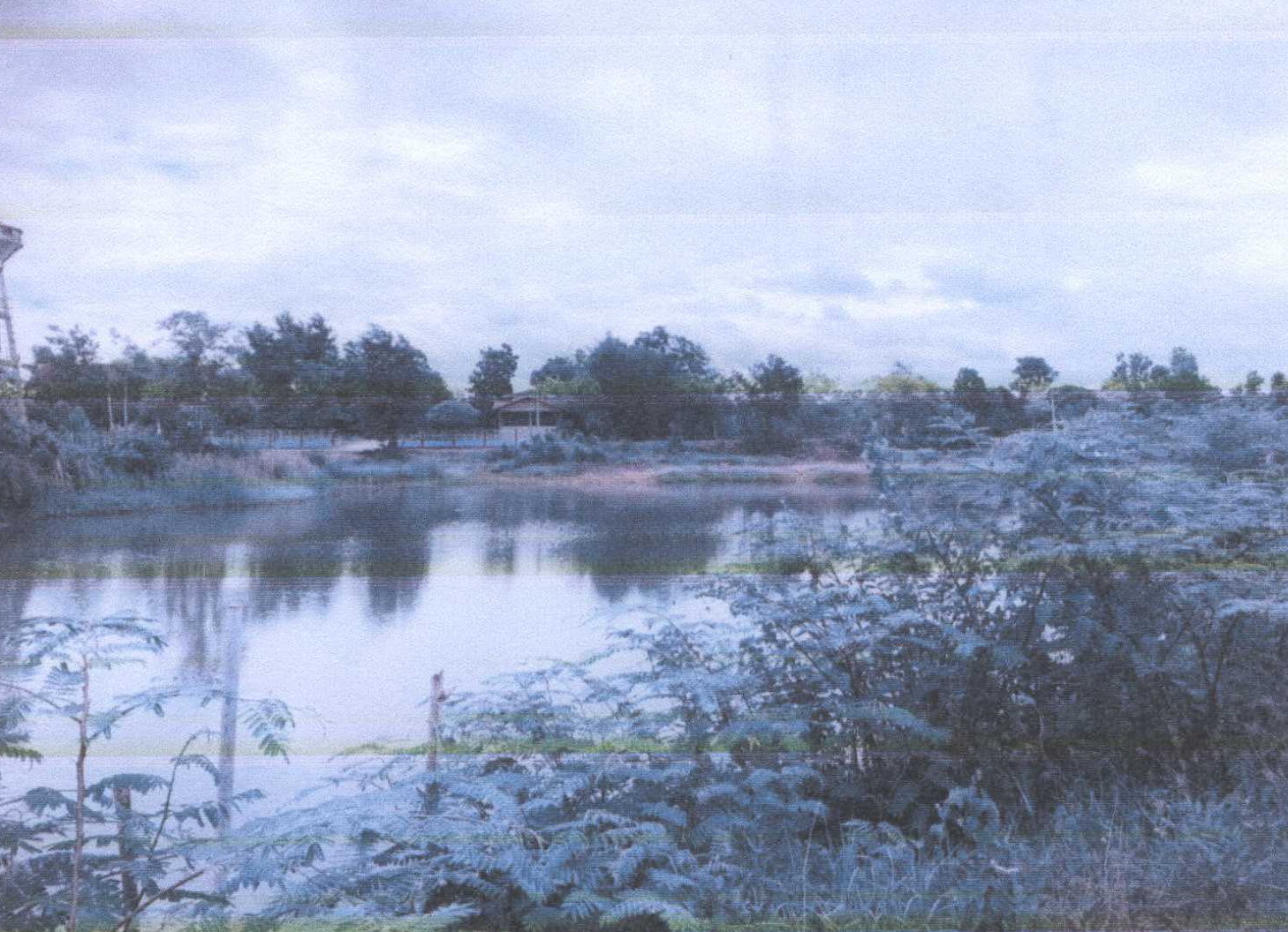 รูปที่ดินว่างเปล่า หนองปลาสวาย บ้านโฮ่ง ลำพูน