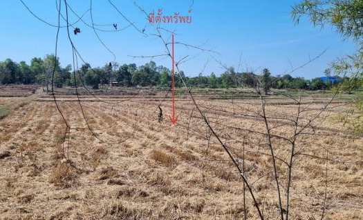 รูปที่ดินว่างเปล่า เพ็ญ เพ็ญ อุดรธานี