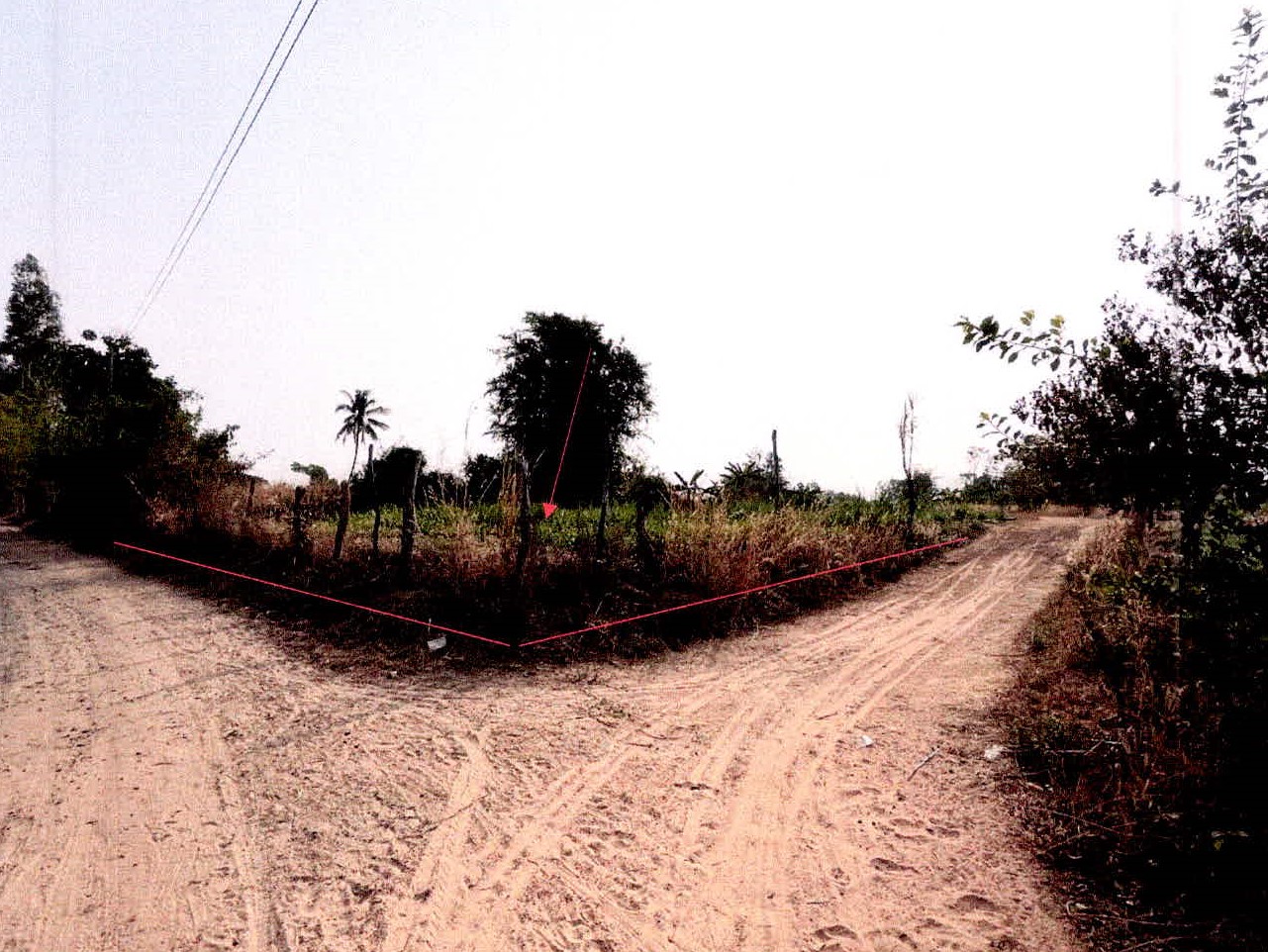รูปที่ดินว่างเปล่า รังแร้ง อุทุมพรพิสัย ศรีสะเกษ