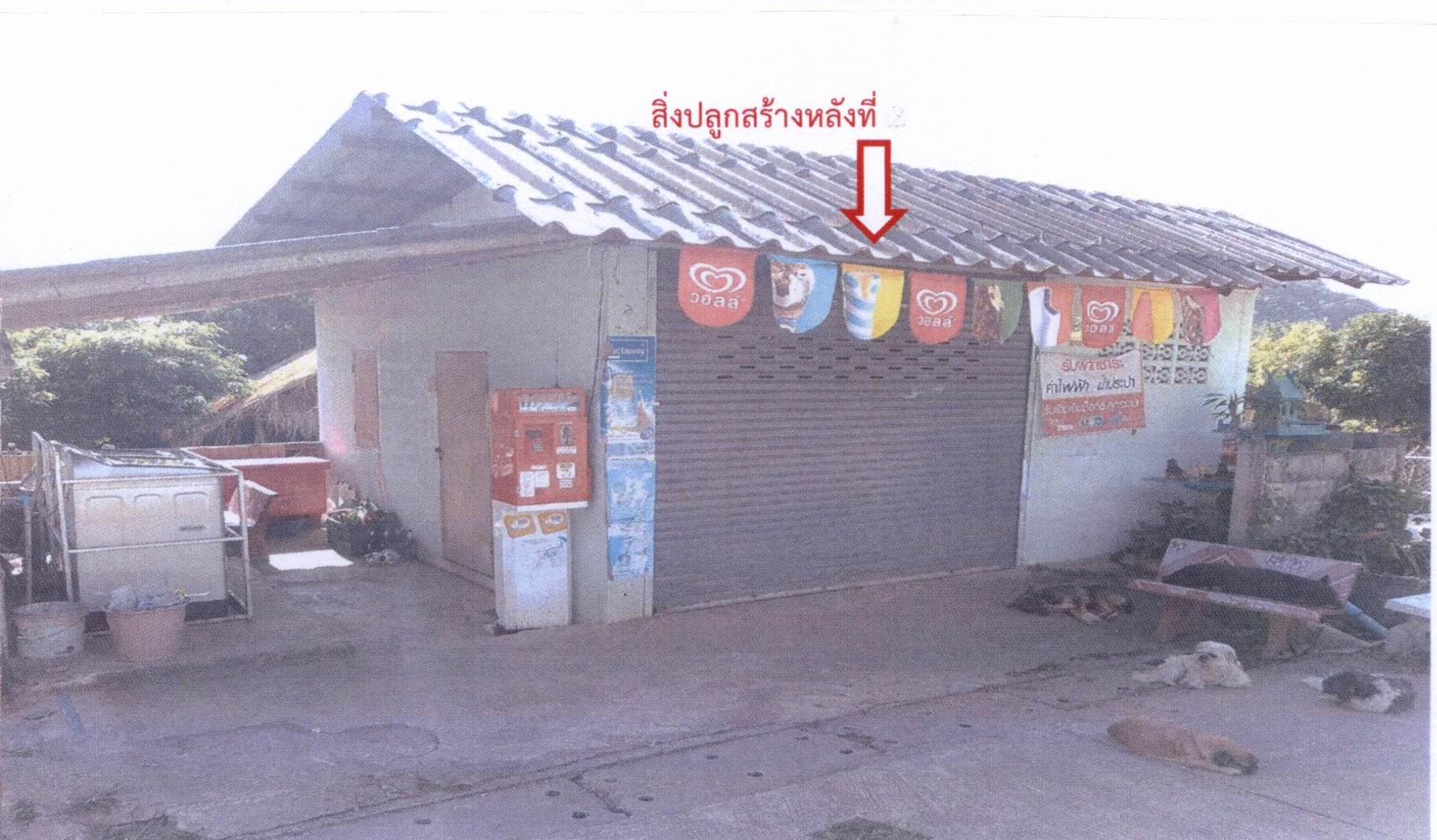 รูปที่ดินพร้อมสิ่งปลูกสร้าง มะลิกา แม่อาย เชียงใหม่