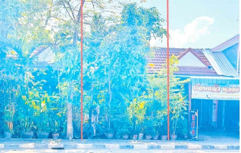 รูปที่ดินพร้อมสิ่งปลูกสร้าง ปากแคว เมืองสุโขทัย สุโขทัย
