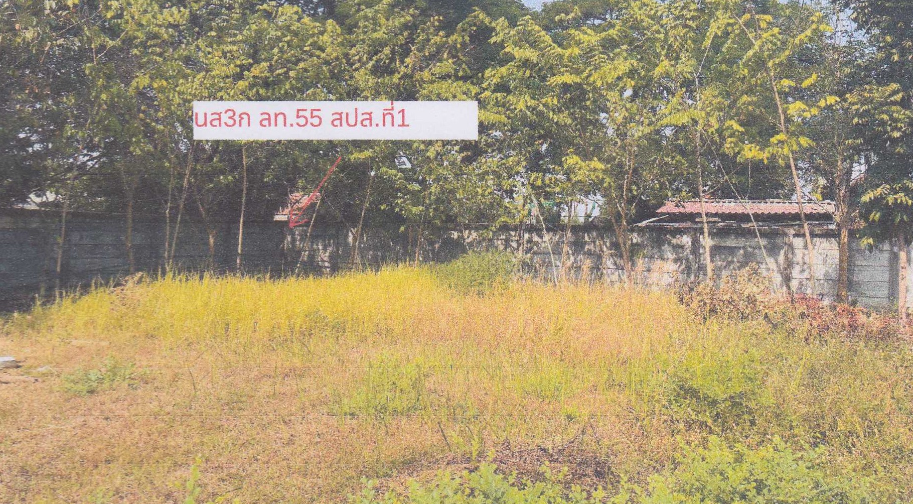 รูปที่ดินพร้อมสิ่งปลูกสร้าง พระธาตุผาแดง แม่สอด ตาก