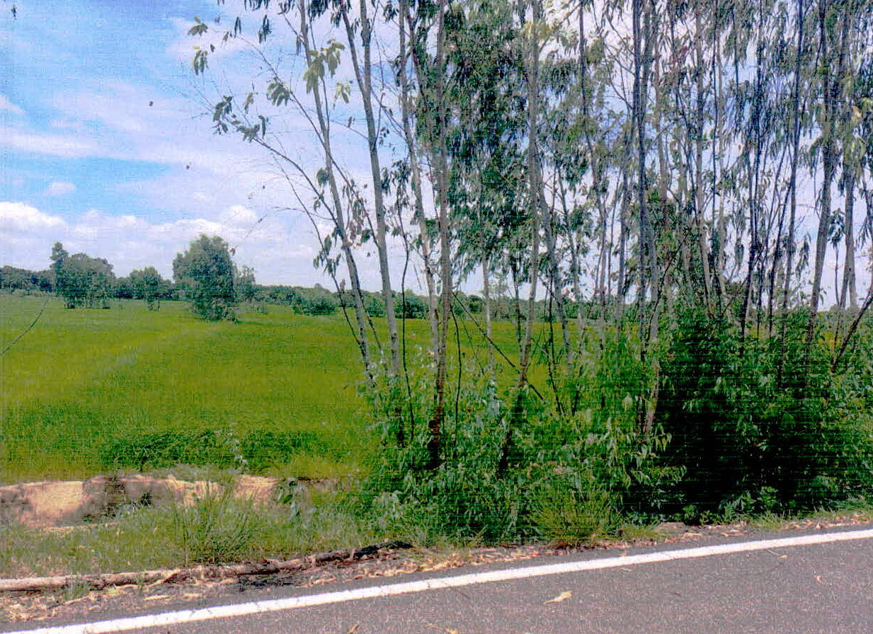 รูปที่ดินว่างเปล่า หว้านคำ ราษีไศล ศรีสะเกษ