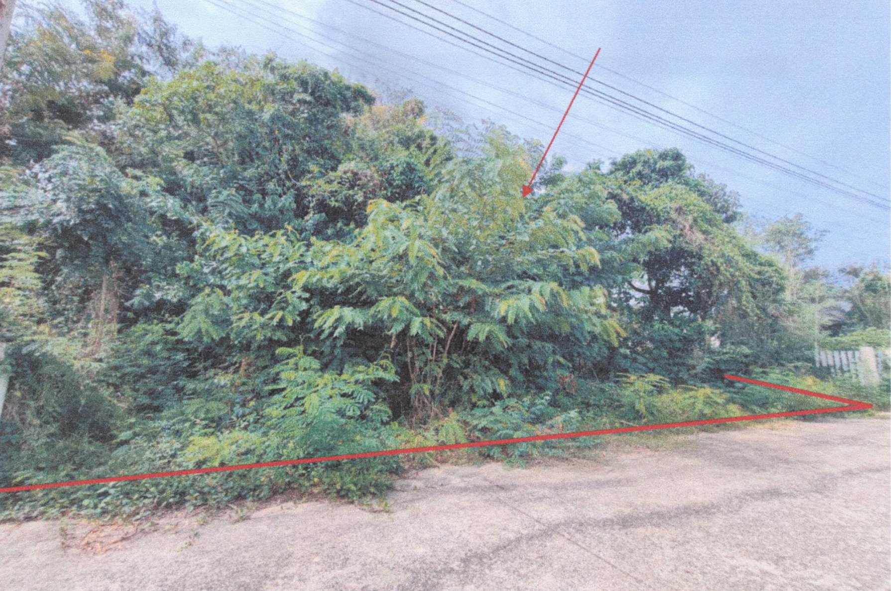รูปที่ดินว่างเปล่า ทับใต้ หัวหิน ประจวบคีรีขันธ์