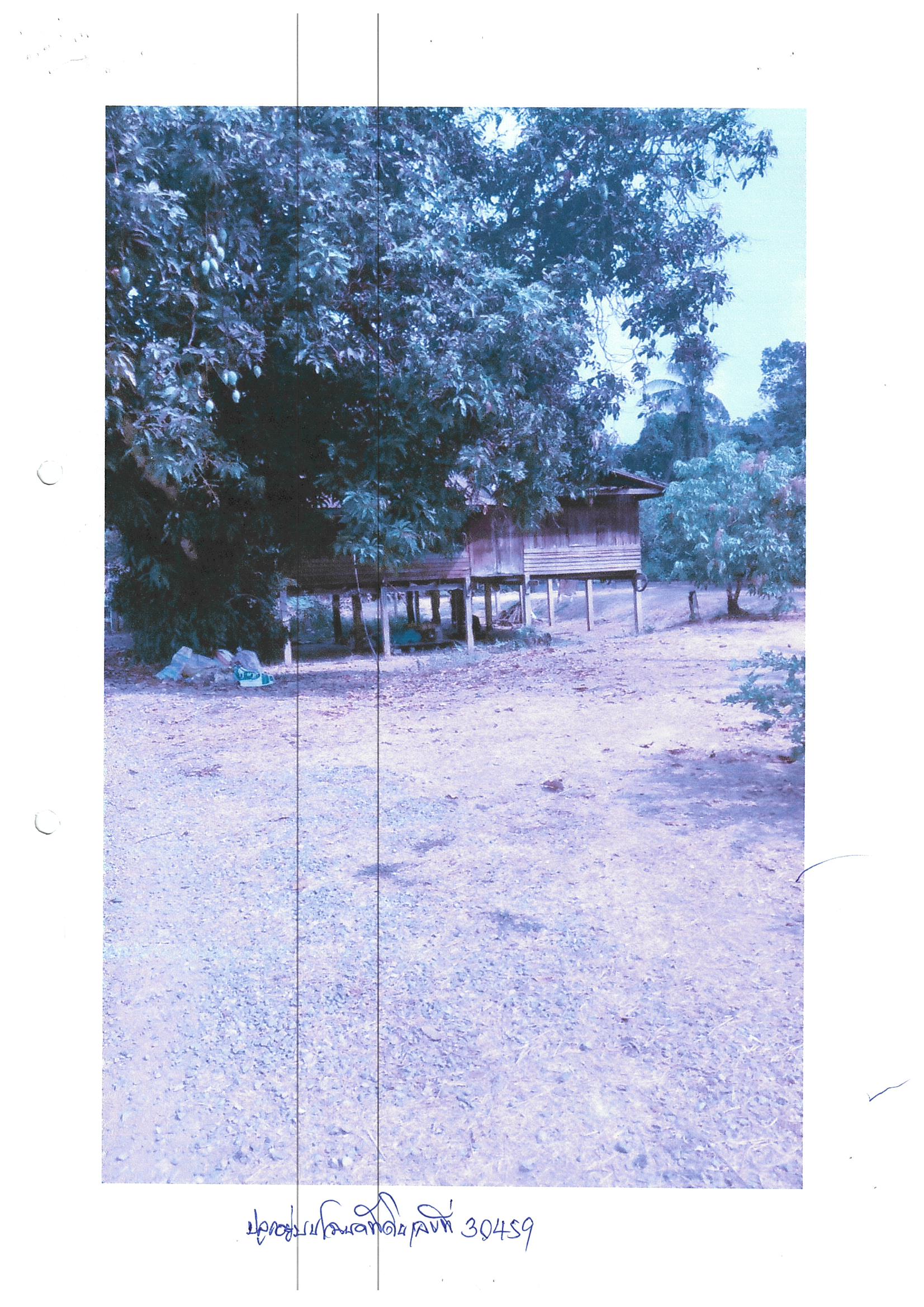 รูปที่ดินพร้อมสิ่งปลูกสร้าง ดอนกำ สรรคบุรี ชัยนาท