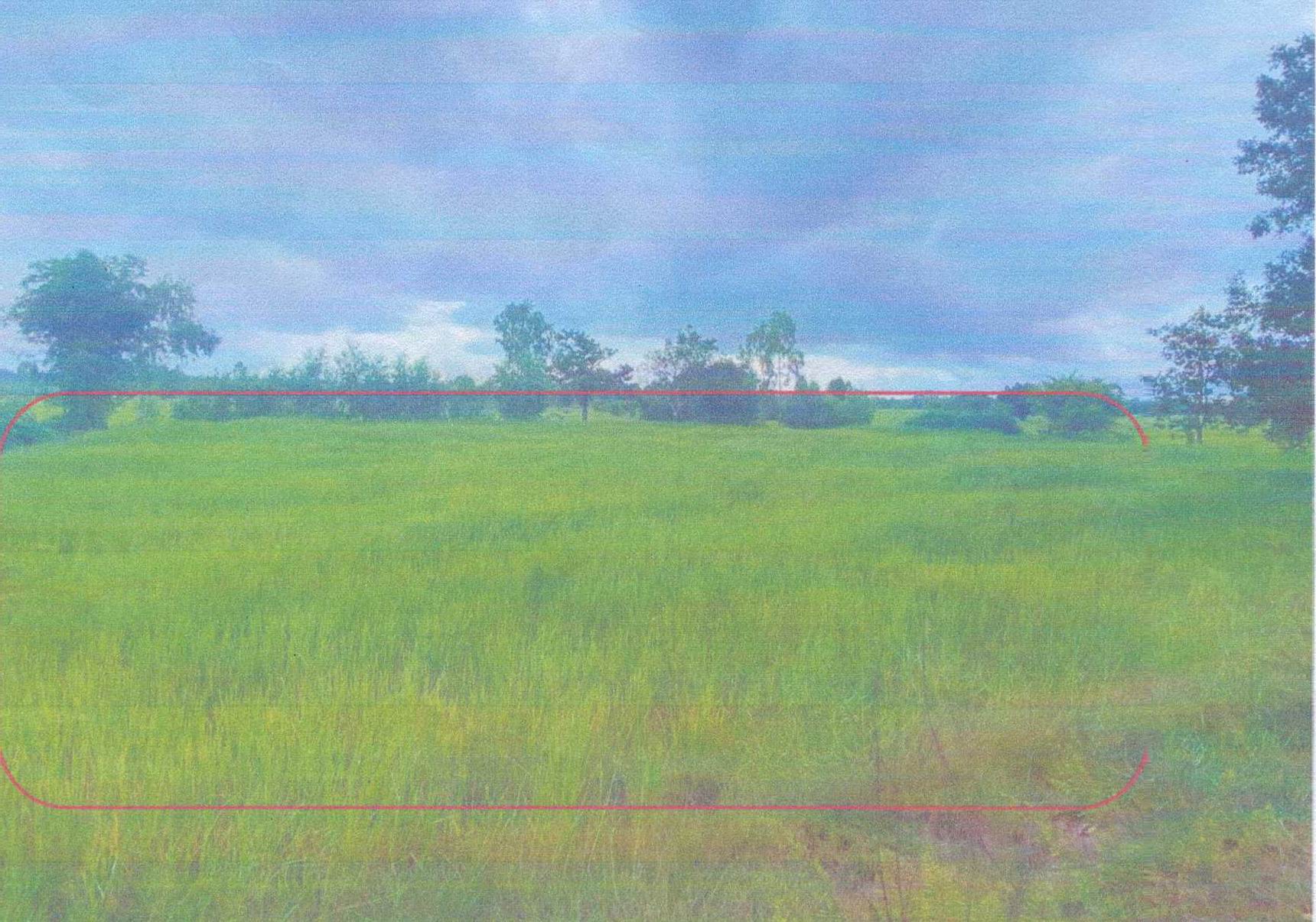 รูปที่ดินว่างเปล่า ละทาย กันทรารมย์ ศรีสะเกษ