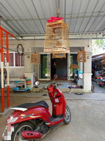 รูปที่ดินพร้อมสิ่งปลูกสร้าง โพธิ์ทอง ท่าศาลา นครศรีธรรมราช