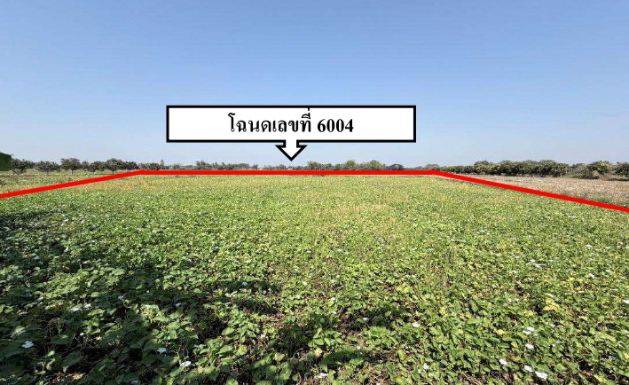 รูปที่ดินว่างเปล่า คลองมะพลับ ศรีนคร สุโขทัย