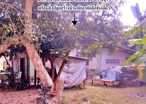 รูปที่ดินพร้อมสิ่งปลูกสร้าง สวนกล้วย บ้านโป่ง ราชบุรี