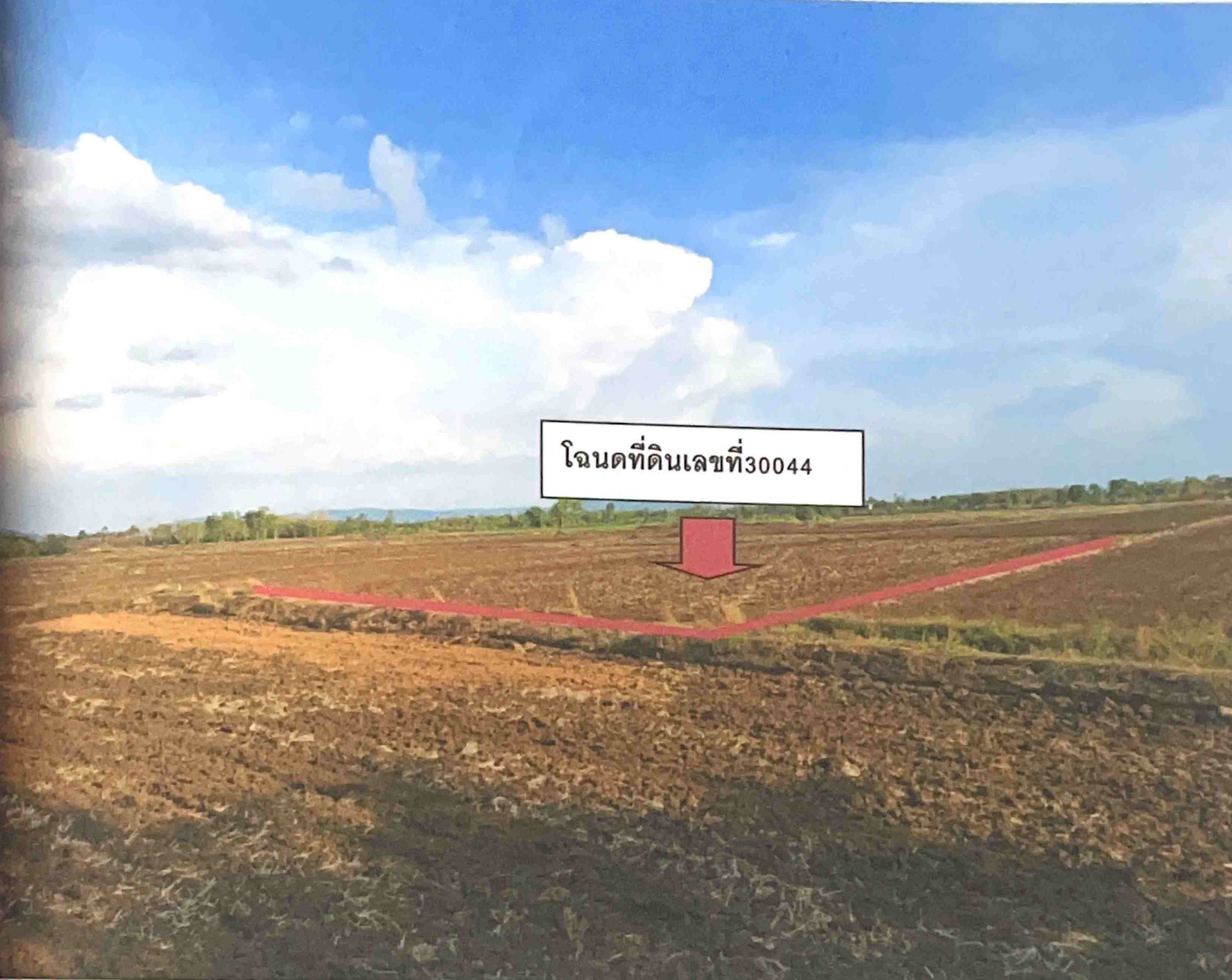 รูปที่ดินว่างเปล่า วังโบสถ์ หนองไผ่ เพชรบูรณ์