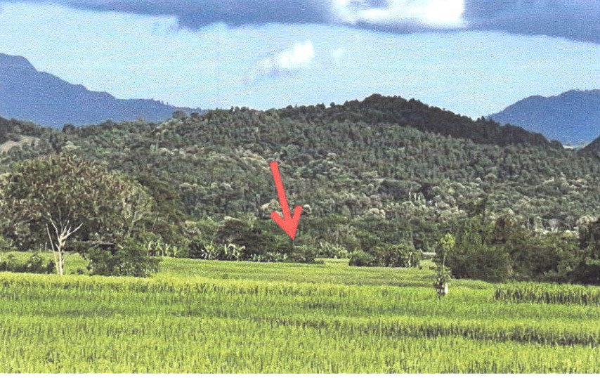 รูปที่ดินว่างเปล่า น้ำเลา ร้องกวาง แพร่