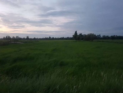 รูปที่ดินว่างเปล่า หนองสองห้อง หนองสองห้อง ขอนแก่น