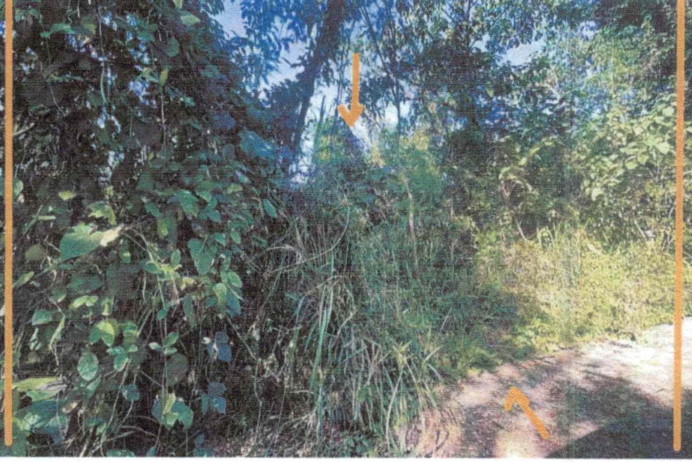 รูปที่ดินว่างเปล่า นาอาน เมืองเลย เลย