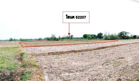รูปที่ดินว่างเปล่า บ้านว่าน ท่าบ่อ หนองคาย