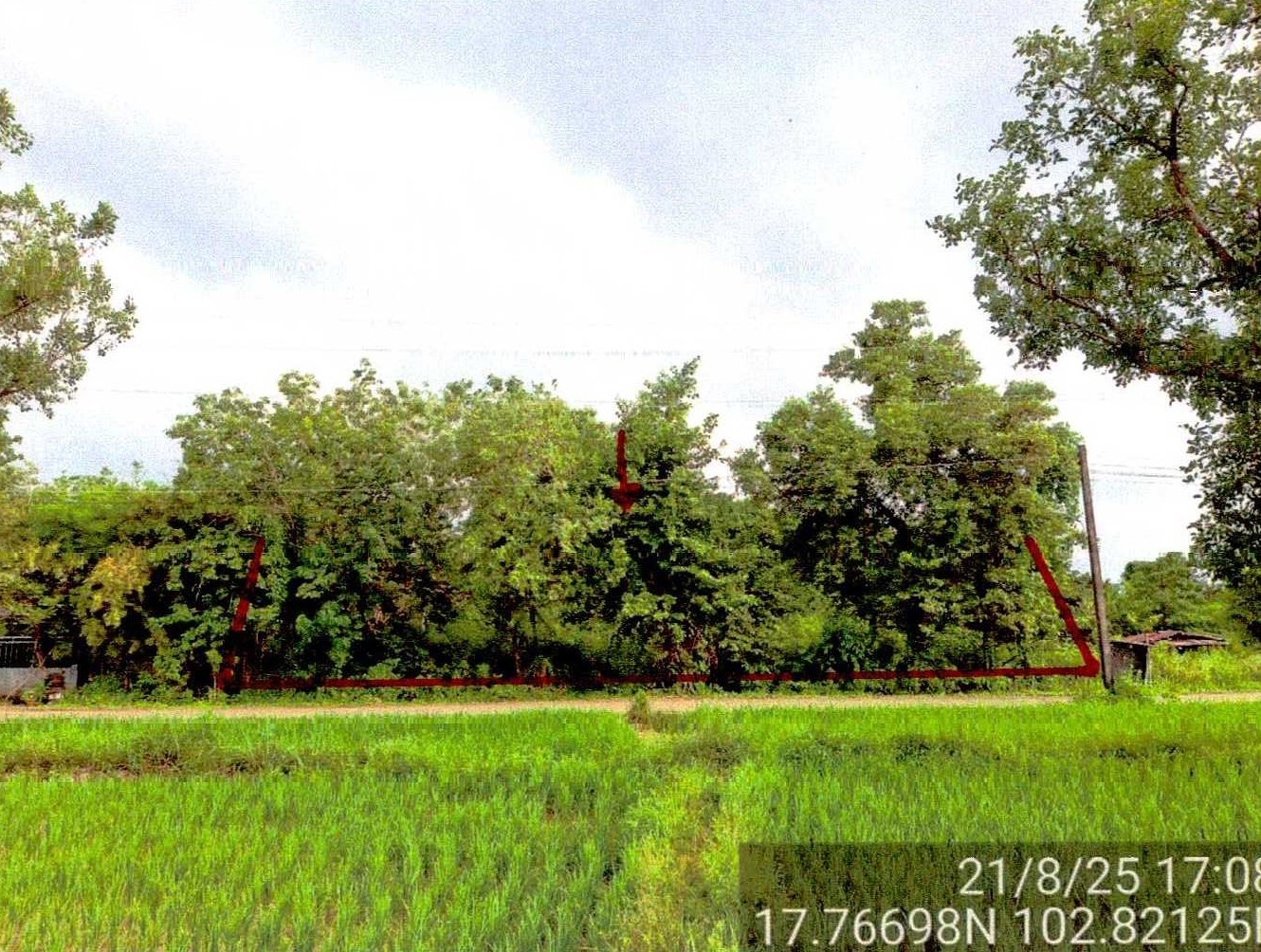 รูปที่ดินว่างเปล่า ค่ายบกหวาน เมืองหนองคาย หนองคาย