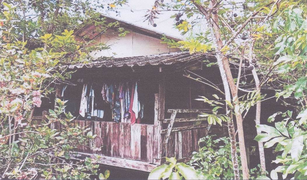 รูปที่ดินพร้อมสิ่งปลูกสร้าง แม่ระมาด แม่ระมาด ตาก