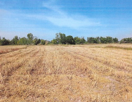 รูปที่ดินว่างเปล่า ขมิ้น เมืองกาฬสินธุ์ กาฬสินธุ์