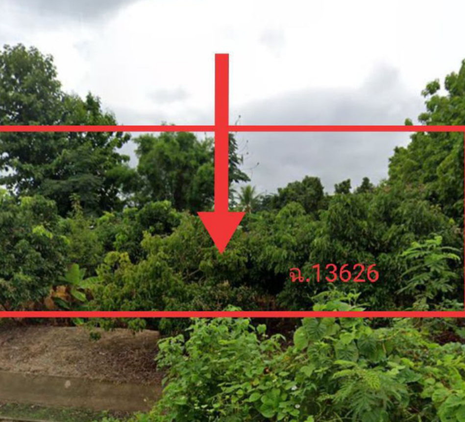รูปที่ดินว่างเปล่า หนองช้างคืน เมืองลำพูน ลำพูน