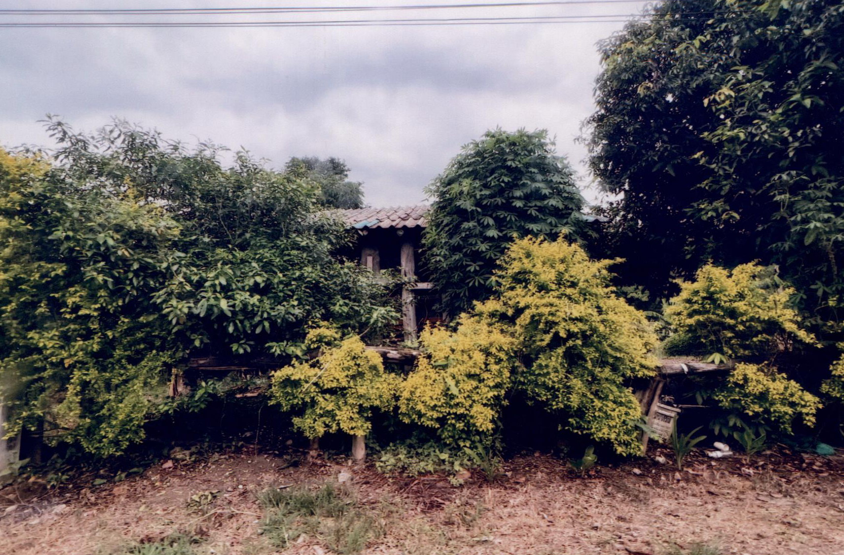 รูปที่ดินว่างเปล่า ยาบหัวนา เวียงสา น่าน