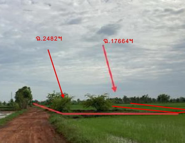 รูปที่ดินว่างเปล่า พังโคน พังโคน สกลนคร