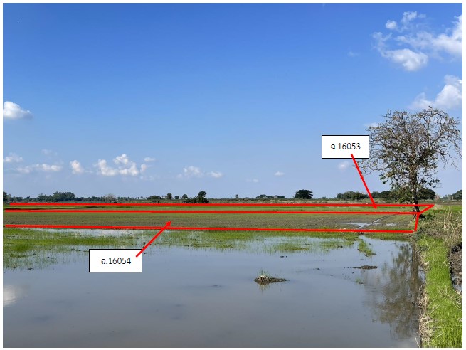 รูปที่ดินว่างเปล่า ท่าขมิ้น โพทะเล พิจิตร
