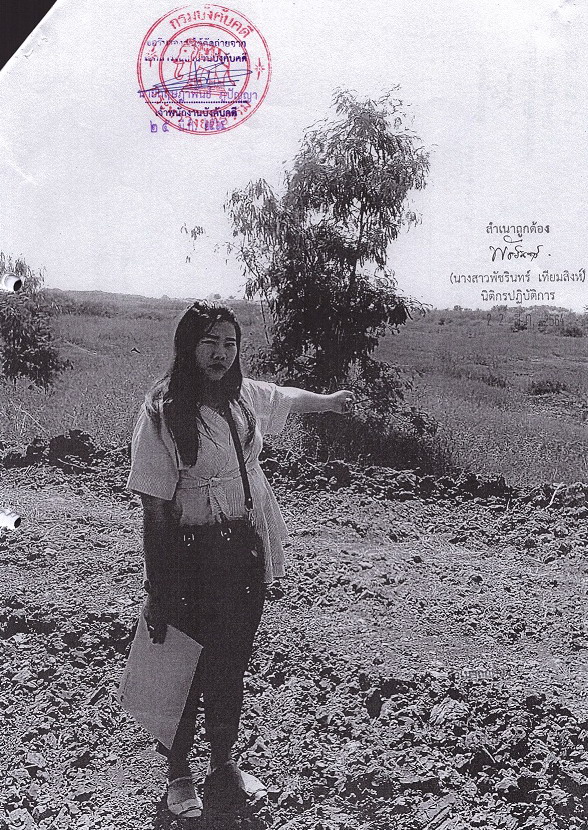 รูปที่ดินว่างเปล่า เอกราช ป่าโมกข์ อ่างทอง