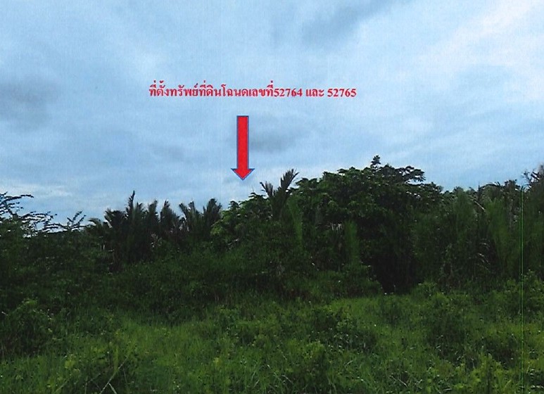 รูปที่ดินว่างเปล่า ปากพนังฝั่งตะวันออก ปากพนัง นครศรีธรรมราช