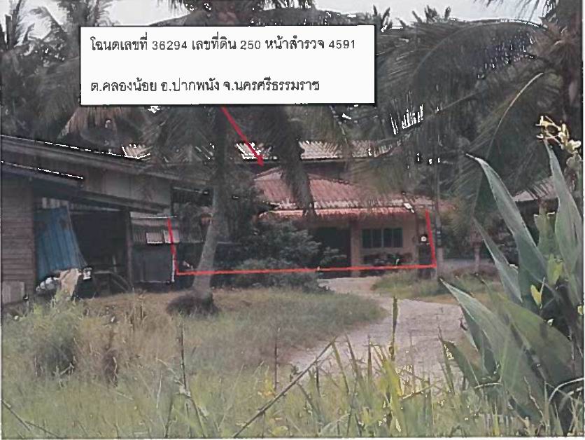 รูปที่ดินพร้อมสิ่งปลูกสร้าง คลองน้อย ปากพนัง นครศรีธรรมราช