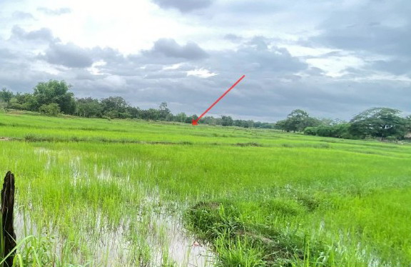 รูปที่ดินว่างเปล่า หนองแวง บ้านแพง นครพนม