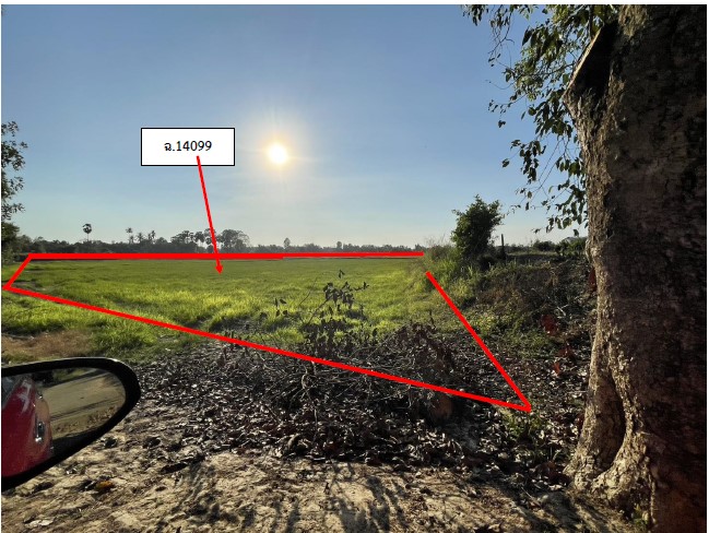 รูปที่ดินว่างเปล่า ท่าขมิ้น โพทะเล พิจิตร