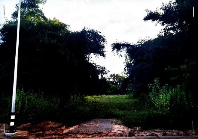 รูปที่ดินว่างเปล่า เหล่าดอกไม้ ชื่นชม มหาสารคาม