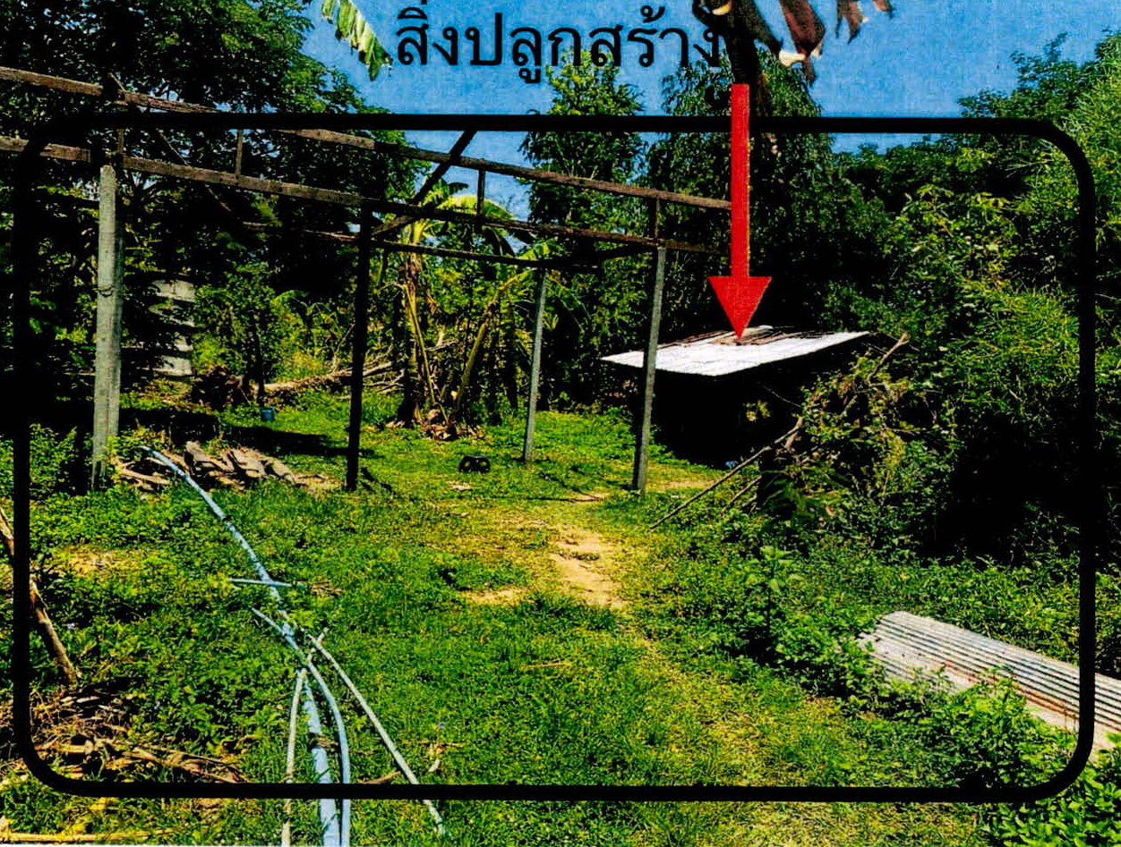 รูปที่ดินพร้อมสิ่งปลูกสร้าง วังพร้าว เกาะคา ลำปาง